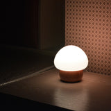 Wooden Mushroom Night Light